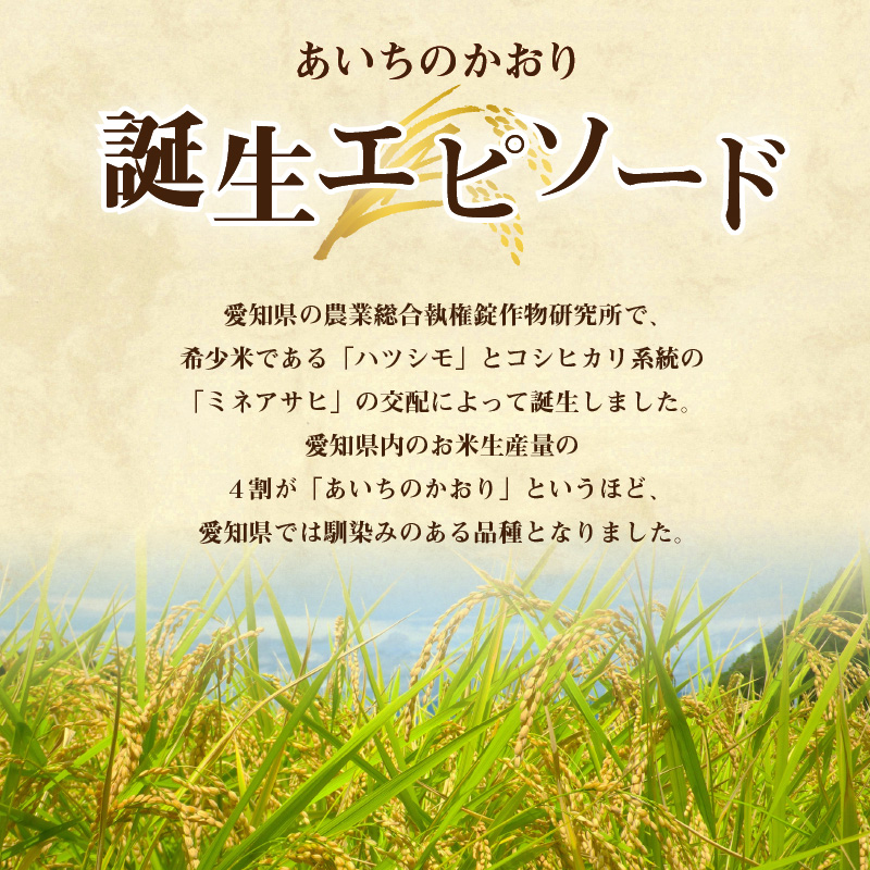 【3ヶ月定期便】お米「あいちのかおり」10kg（計30kg）　精米　おにぎり　おこめ