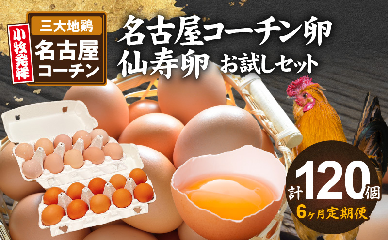 【6ヶ月定期便】名古屋コーチン卵・仙寿卵お試しセット（各10個入り）×6回（計各60個）　地鶏 鶏卵 たまご タマゴ 玉子 生卵