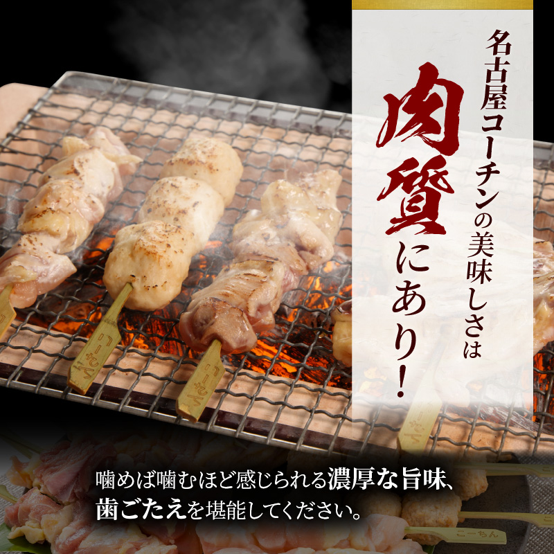 【半年に1回　計2回定期便】名古屋コーチン焼鳥セット・名古屋コーチン鍋&名古屋コーチン1羽分セット