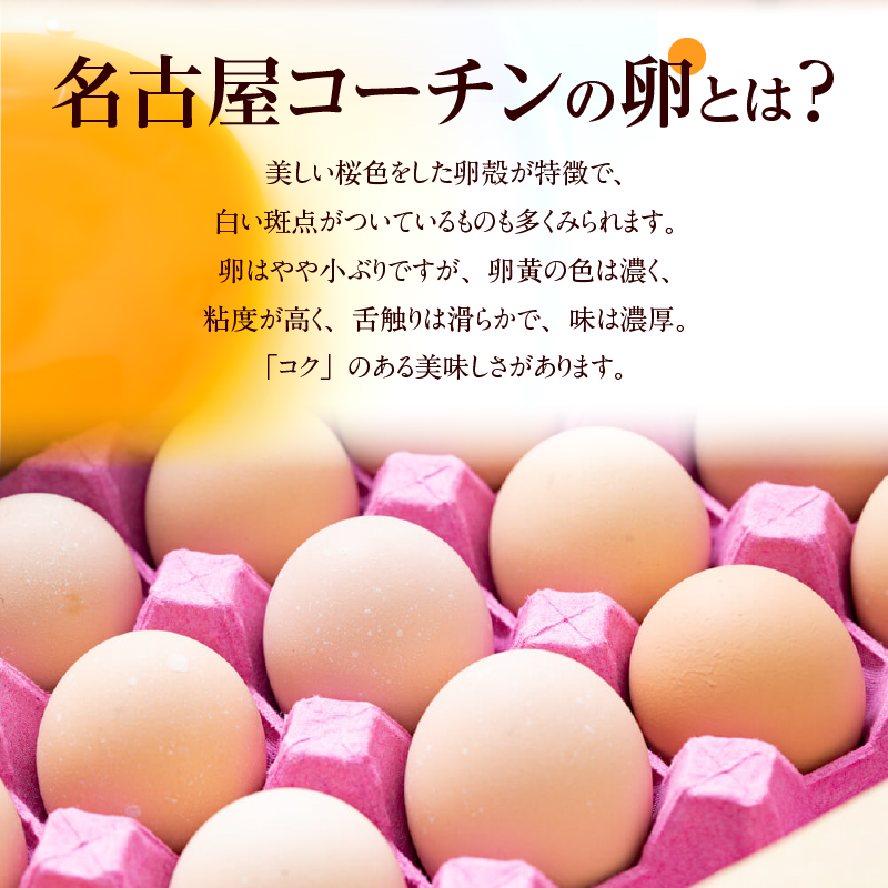 【6ヶ月定期便】名古屋コーチン卵(30個入り)×6回（計180個）　地鶏 鶏卵 たまご タマゴ 玉子 生卵