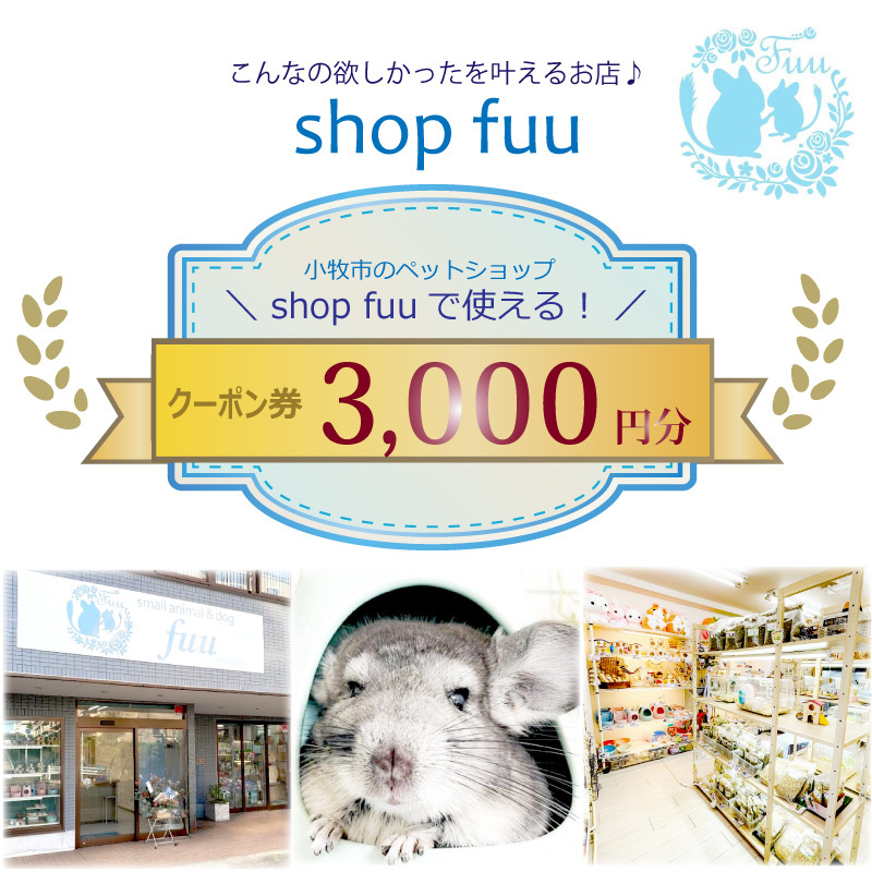 shop fuuで使えるクーポン券（3,000円）