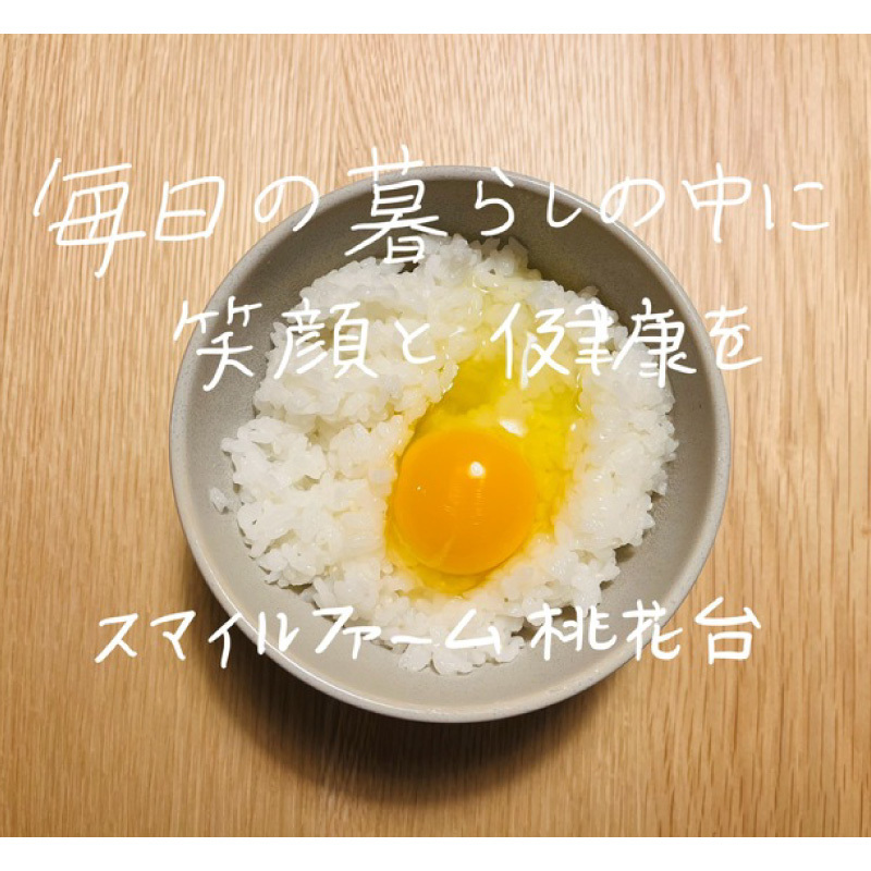 【医師監修】野菜を食べて育った平飼いの卵「名古屋コーチン ベジたま」（30個入り）