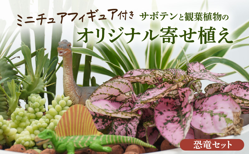 サボテンと観葉植物のオリジナル寄せ植え【恐竜セット】