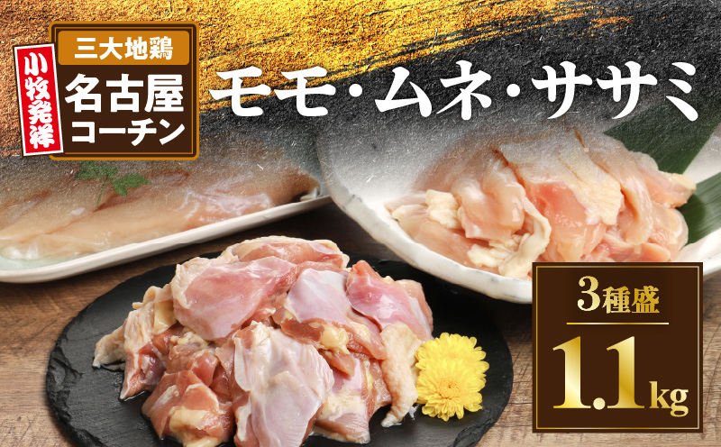 モモ ムネ ササミ 名古屋コーチン3種盛[1.1kg]大満足セット 地鶏 鶏肉