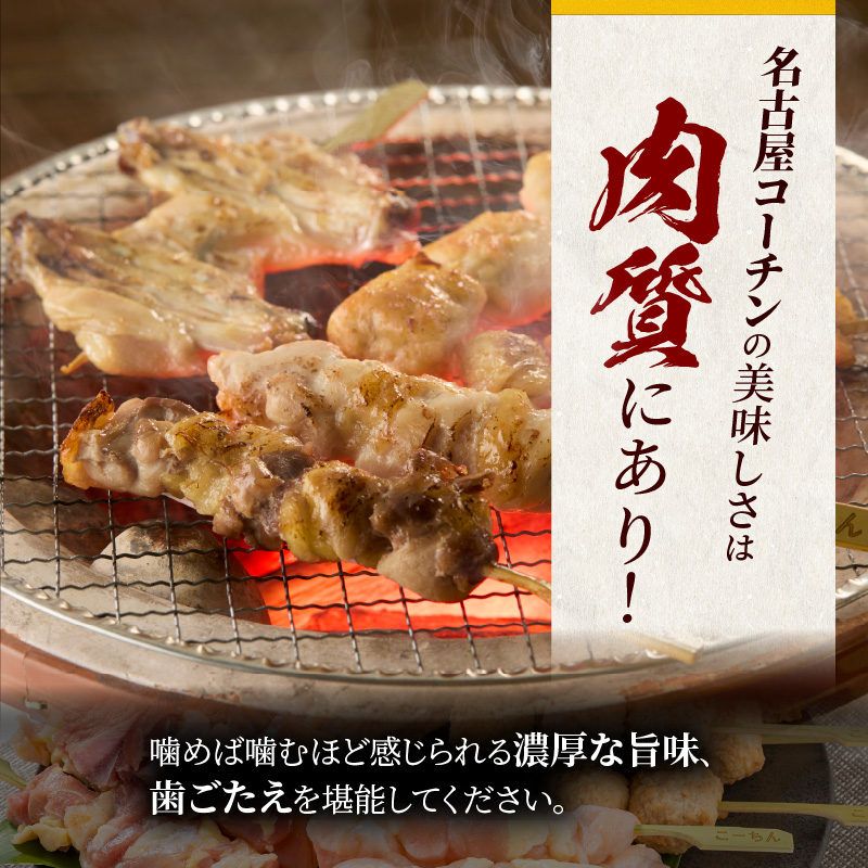 名古屋コーチン焼鳥　5種20本セット（もも・むね・手羽中・皮・つくね）