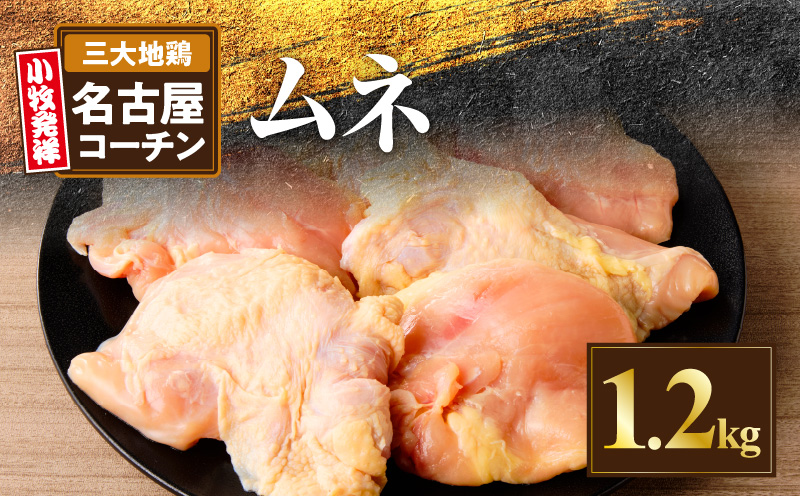 名古屋コーチン　むね肉1.2kg大満足セット