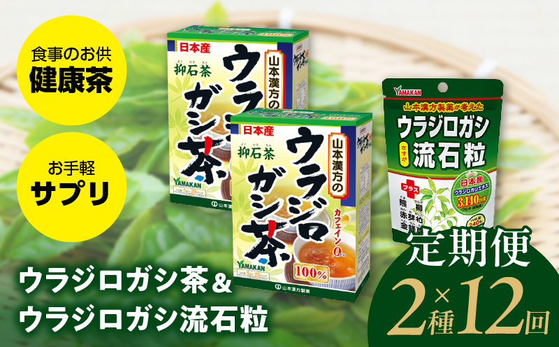 ＜12ヶ月連続＞ウラジロガシ茶＆ウラジロガシ 流石粒　山本漢方　定期便
