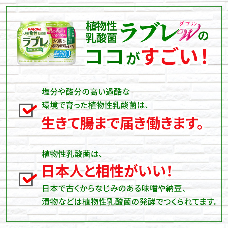 【6ヶ月定期便】植物性乳酸菌ラブレW　プレーン36本（計216本）