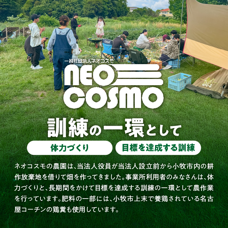 ネオコスモ農園で採れた小牧の野菜詰め合わせ