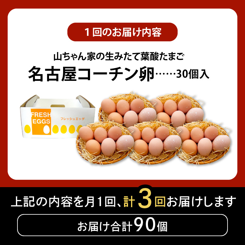 ã3ã¶æå®æäŸ¿ããå±±ã¡ããå®¶ã®çã¿ããŠèé
žããŸããåå€å±ã³ãŒãã³åµïŒ30åå
¥ãïŒ