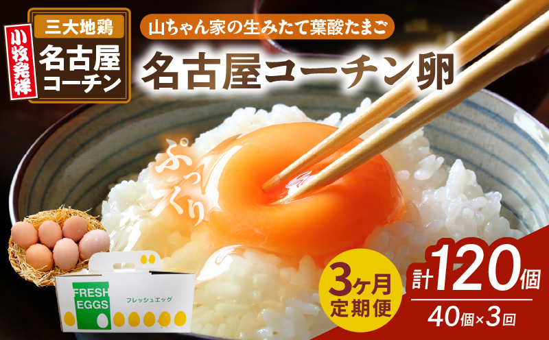 【3ヶ月定期便】【山ちゃん家の生みたて葉酸たまご】名古屋コーチン卵（40個入り）