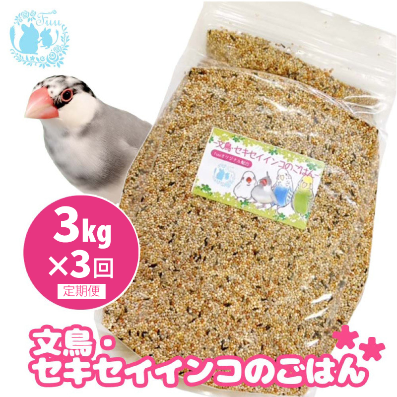 【3ヶ月定期便】fuu 文鳥・セキセイインコのごはん（3kg）