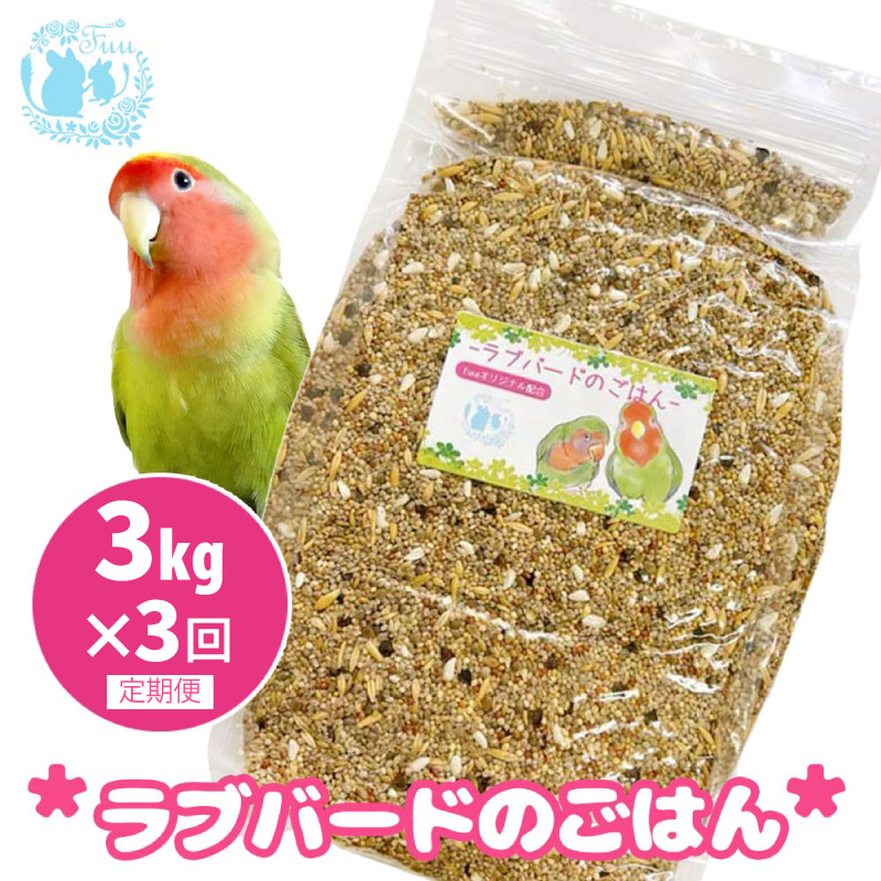 【3ヶ月定期便】fuu ラブバードのごはん（3kg）