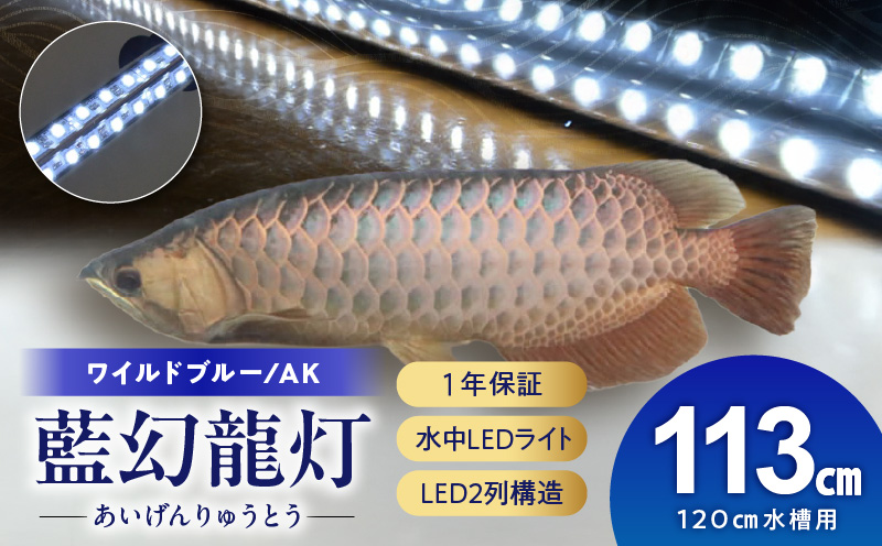 一瞬で綺麗に魅せる!金龍の青を最大限に強調する水中LEDライト|AK120-EX 金龍 専用 ワイルドブルー 青 水中 アロワナ 高輝度 水槽ライト テンニングライト LED ライト 照明 水中照明 光 綺麗 透明感 強化ガラス 吸盤 1年保証 簡単 設置 でんらい インテリア 雑貨 愛知県 小牧市 送料無料