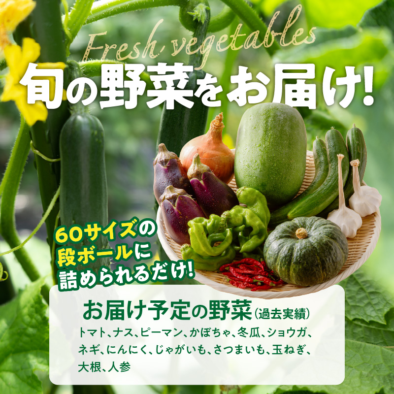 ★障がい者支援施設応援品★ ネオコスモ農園で採れた小牧の野菜詰め合わせ