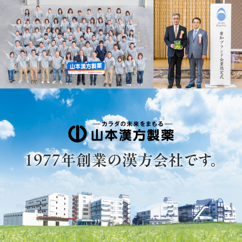 青汁 ドラッグストア売上No.1 大麦若葉100％ 山本漢方 徳用 154スティック　粉末 抹茶風味 無添加 健康食品