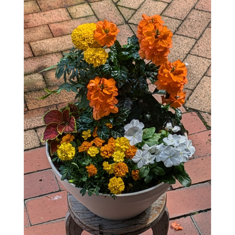 繧ャ繝シ繝繝九Φ繧ー縲蟄」遽縺ョ蟇縺帶、阪∴