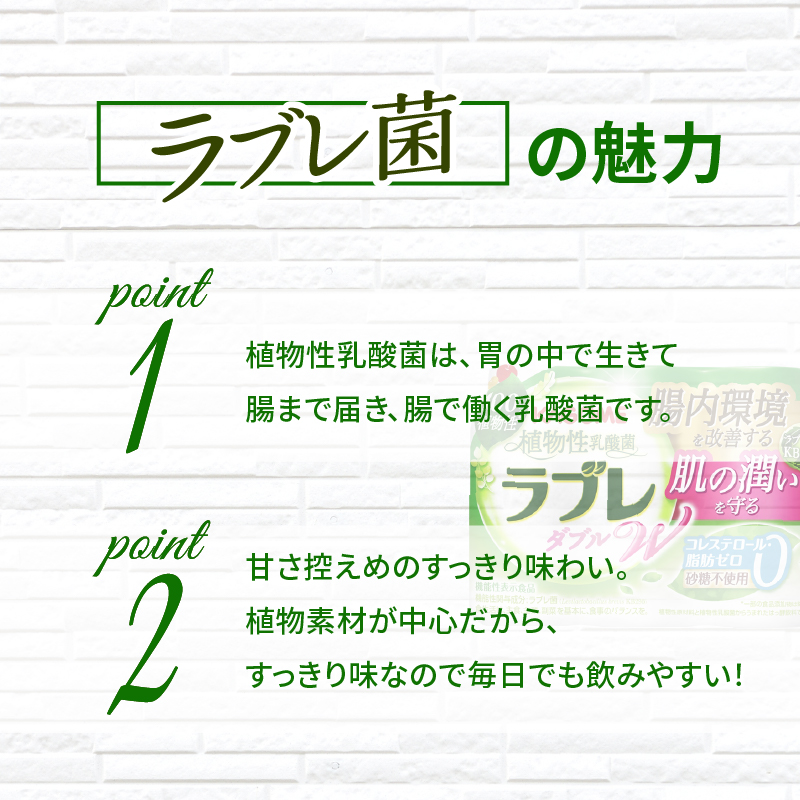 【2ヶ月に1回　計6回定期便】植物性乳酸菌ラブレW　プレーン36本（計216本）