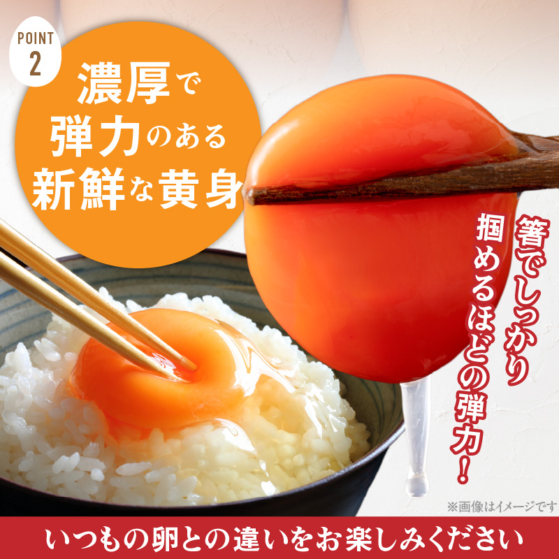 【山ちゃん家の生みたて葉酸たまご】名古屋コーチン卵（80個入り）