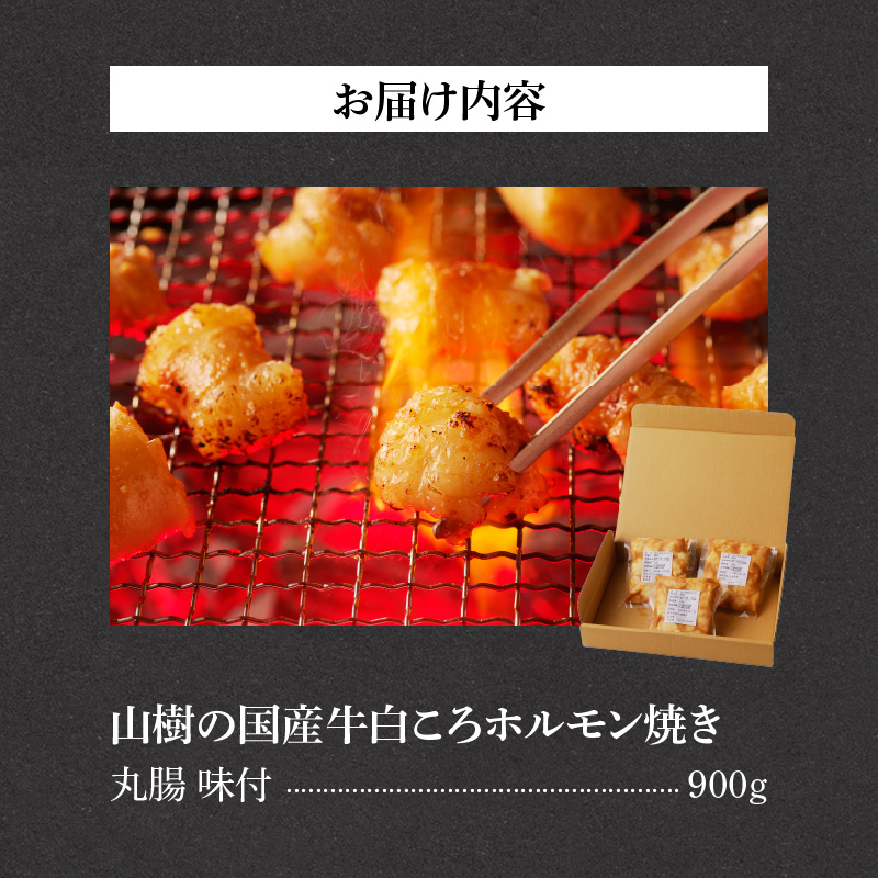 山暹ã®åœç£ççœãããã«ã¢ã³çŒãïŒäžžè
žïŒå³ä»ã900g