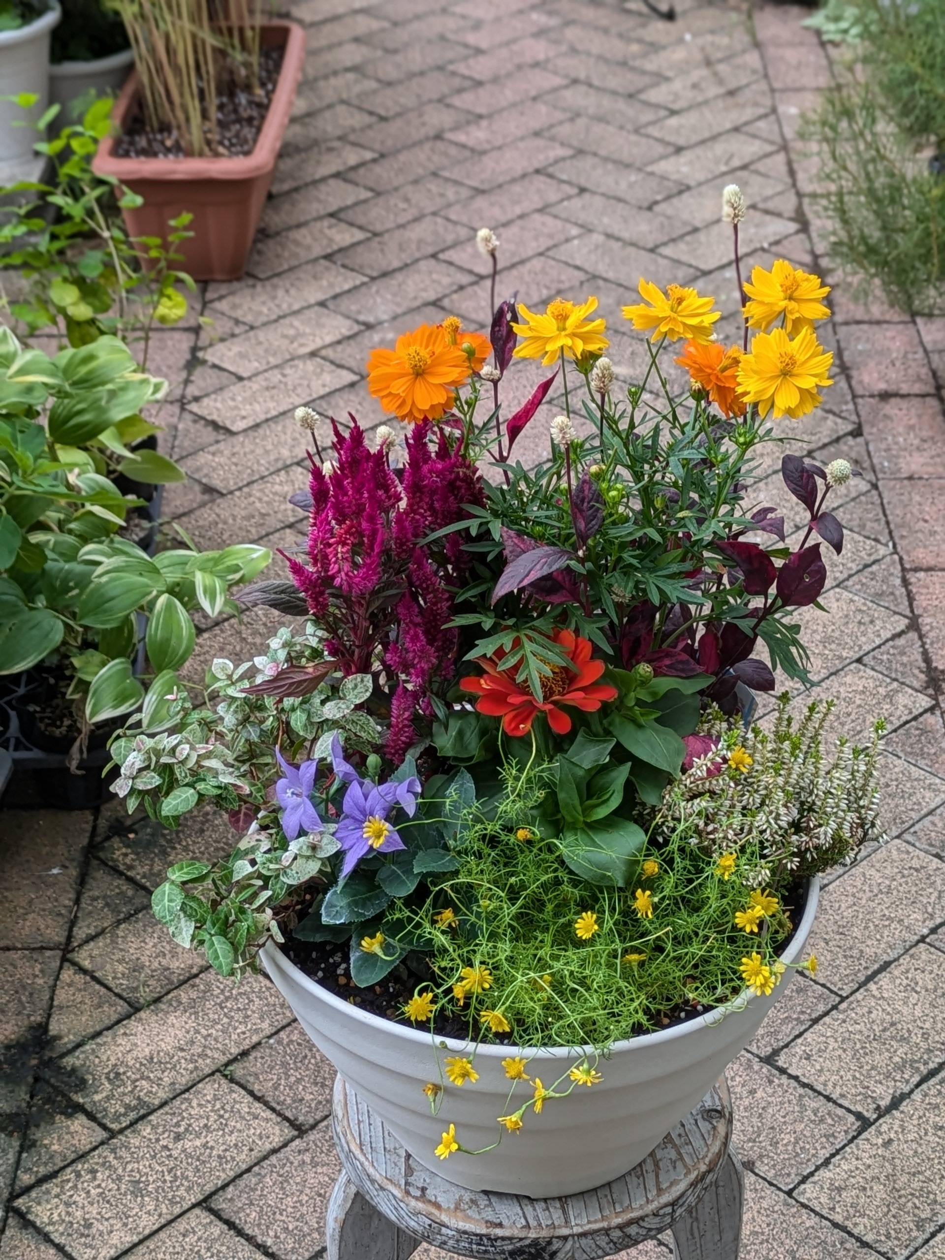 繧ャ繝シ繝繝九Φ繧ー縲蟄」遽縺ョ蟇縺帶、阪∴