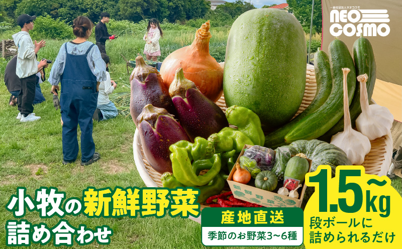 ★障がい者支援施設応援品★ ネオコスモ農園で採れた小牧の野菜詰め合わせ