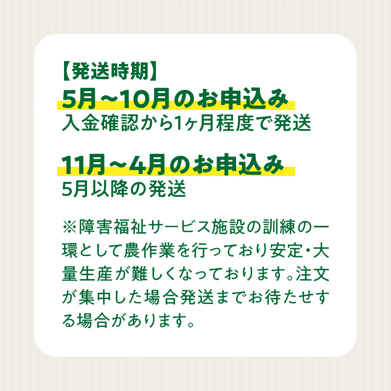 ★障がい者支援施設応援品★ ネオコスモ農園で採れた小牧の野菜詰め合わせ