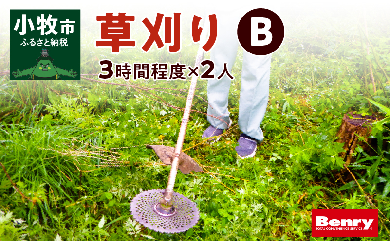 【ふるさと納税】草刈り B 代行サービス 3時間 程度 2人作業 伐採 低草木 剪定 ゴミ拾い 清掃 雑草 除去 除草 作業 状況 完了報告 撮影 庭 田畑 遊休地 空地 ベンリーさつき小牧味岡店 愛知県 小牧市