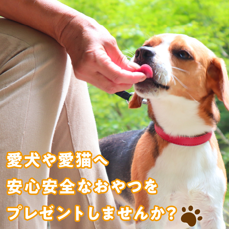 犬猫用　国産無添加おやつジャーキー　鰹スティック（魚）