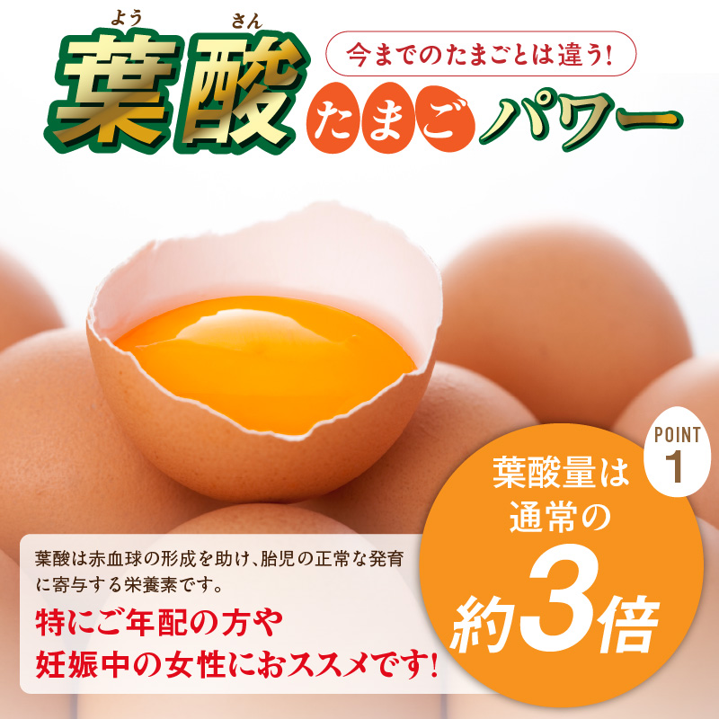 【山ちゃん家の生みたて葉酸たまご】名古屋コーチン卵（30個入り）