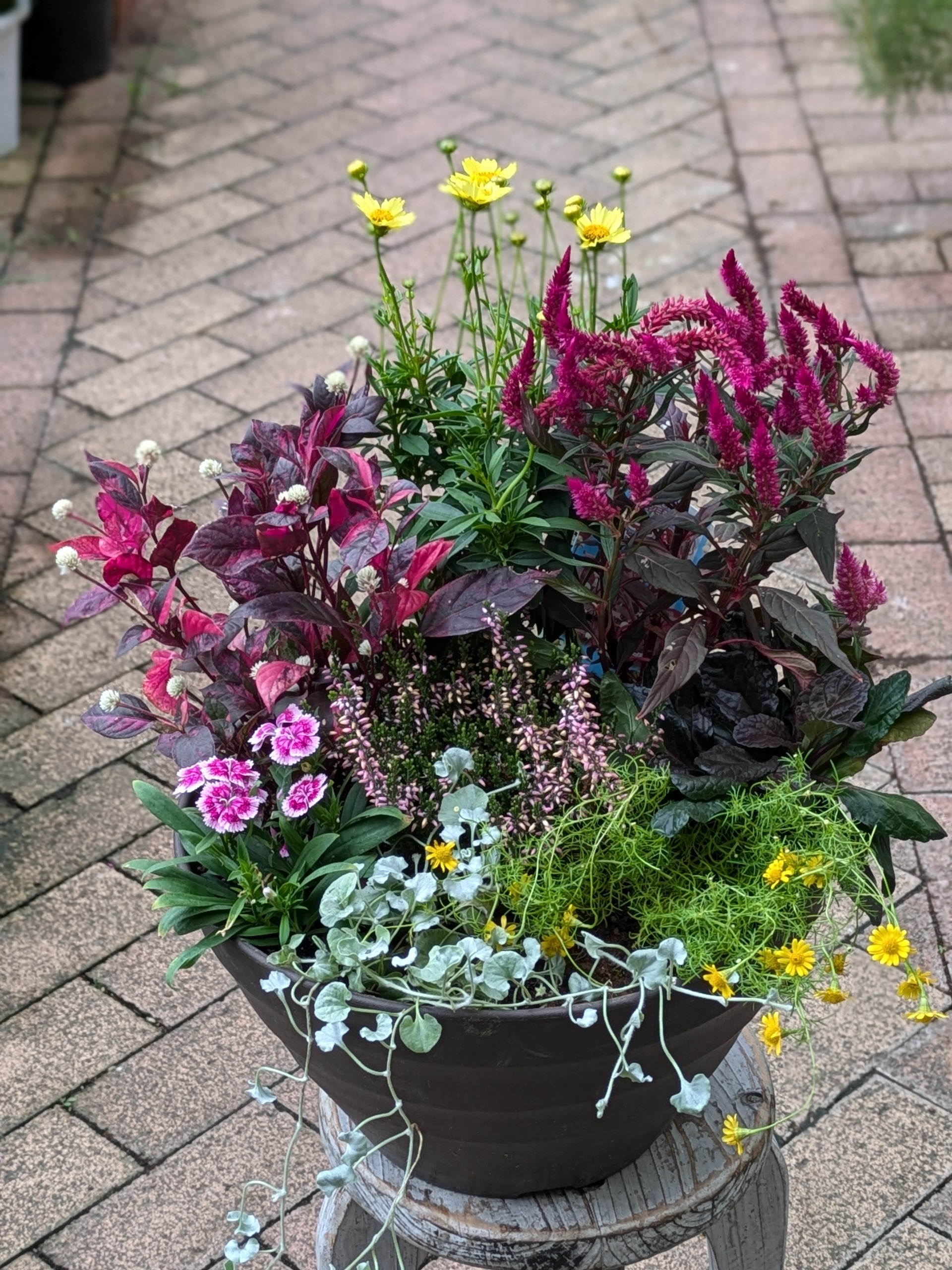 繧ャ繝シ繝繝九Φ繧ー縲蟄」遽縺ョ蟇縺帶、阪∴