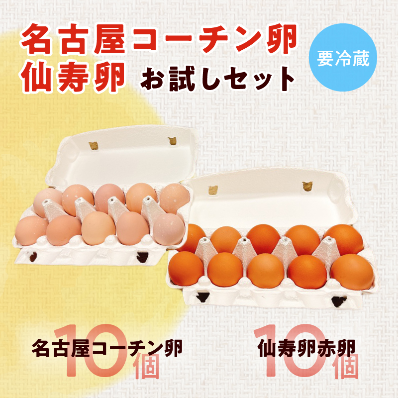 蜷榊商螻九さ繝シ繝√Φ蜊オ繝サ莉吝ッソ蜊オ縺願ゥヲ縺励そ繝繝(蜷10蛟句・繧)縲鮓丞嵯 蝨ー鮓 鬟溘∋豈斐∋ 縺溘∪縺 繧ソ繝槭ざ 邇牙ュ 逕溷嵯