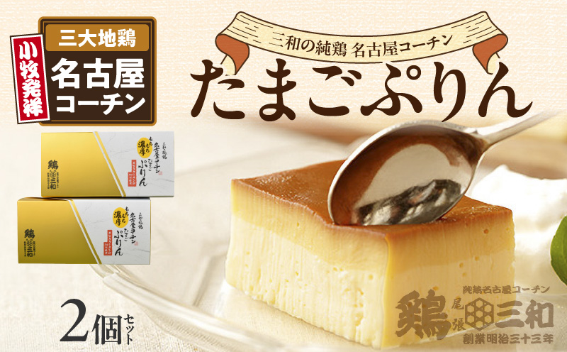 【ふるさと納税】 三和の純鶏名古屋コーチンたまごぷりん2個セット[052S03]
