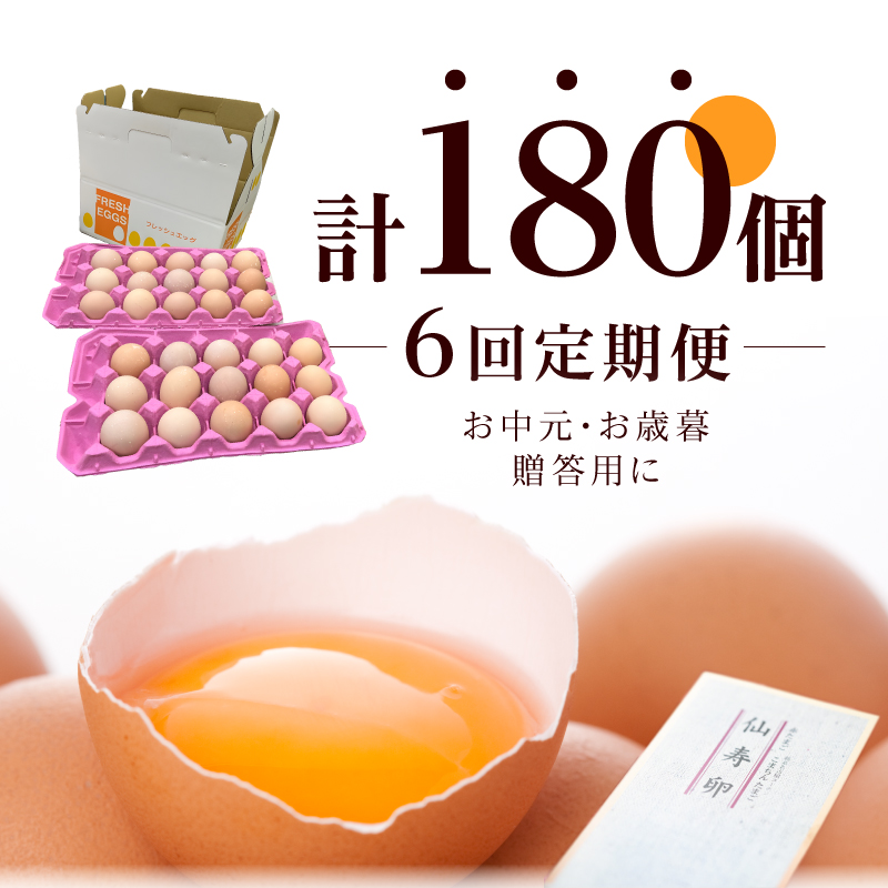縲6繝カ譛亥ョ壽悄萓ソ縲大錐蜿、螻九さ繝シ繝√Φ蜊オ(30蛟句・繧)テ6蝗橸シ郁ィ180蛟具シ峨蝨ー鮓 鮓丞嵯 縺溘∪縺 繧ソ繝槭ざ 邇牙ュ 逕溷嵯