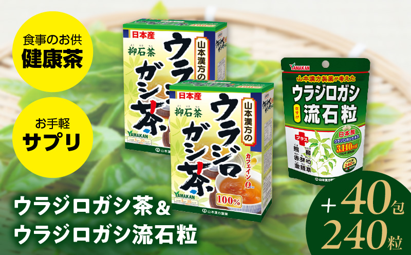 ウラジロガシ茶 20包×2箱&ウラジロガシ 流石粒 240粒 山本漢方 ティーバッグ