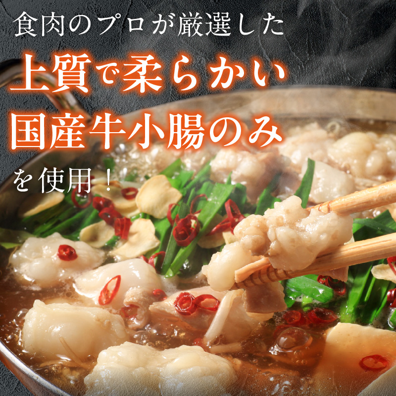 【食肉総合卸 丸正】厳選国産牛のもつ鍋セット（9人前）