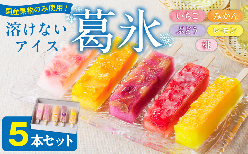 とけないアイス　葛氷5本セット