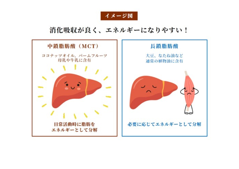 縲仙アア譛ャ貍「譁ケ陬ス阮ャ縲閃CT螟ァ鮗ヲ闍・闡臥イ画忰 5gテ52蛹シ域ゥ溯ス諤ァ陦ィ遉コ鬟溷刀シ
