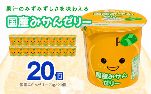 諢帷衍繝ィ繝シ繧ッ縲蝗ス逕」縺ソ縺九s繧シ繝ェ繝シ縲20蛟句・縲繧シ繝ェ繝シ 繝繧カ繝シ繝 蝗ス逕」譫懈ア 繧「繝ャ繝ォ繧ョ繝シ荳堺スソ逕ィ 蛛・蠎キ 邨ヲ鬟 菫晁ご蝨 蟷シ遞壼恍 蟆丞ュヲ譬。 荳ュ蟄ヲ譬。 謾ッ謠エ蟄ヲ譬。 逞髯「 鬮倬ス「閠譁ス險ュ