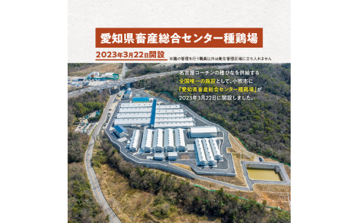 壮平さんどら焼き　和菓子　スイーツ　名古屋コーチン