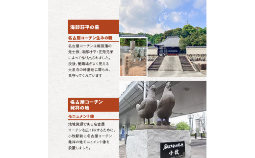 壮平さんどら焼き　和菓子　スイーツ　名古屋コーチン