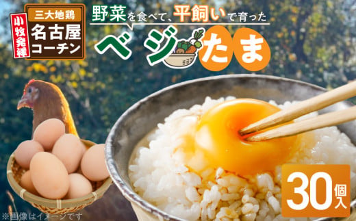 【医師監修】野菜を食べて育った平飼いの卵「名古屋コーチン ベジたま」（30個入り）