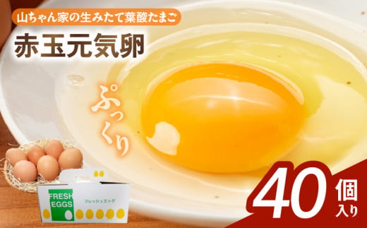 ãå±±ã¡ããå®¶ã®çã¿ããŠèé
žããŸããèµ€çå
æ°åµïŒ40åå
¥ãïŒ