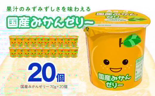 愛知ヨーク　国産みかんゼリー　20個入　ゼリー デザート 国産果汁 アレルギー不使用 健康 給食 保育園 幼稚園 小学校 中学校 支援学校 病院 高齢者施設