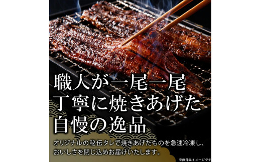 老舗のうなぎ　【特選上長焼】５尾セット（秘伝のタレ・山椒付）