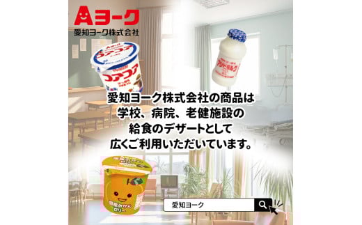 愛知ヨーク　コアコアヨーグルト＆国産ゼリーセット　16個入　ヨーグルト ゼリー デザート 国産果汁 詰め合わせ 健康 給食 保育園 幼稚園 小学校 中学校 支援学校 病院 高齢者施設