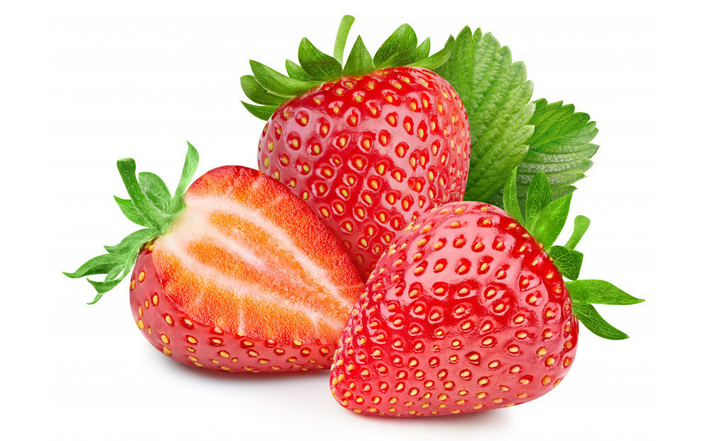 こだわり栽培 いちご 【食べ比べ】 約1kg はるひ＆ゆめのか(各2パック)【2026年1月下旬～2026年4月末までお届け】