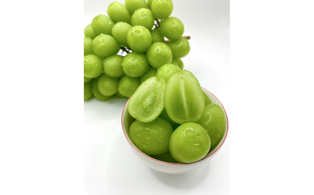 【先行予約2026年8月頃発送】大府市産　シャインマスカット800g（1房入り）