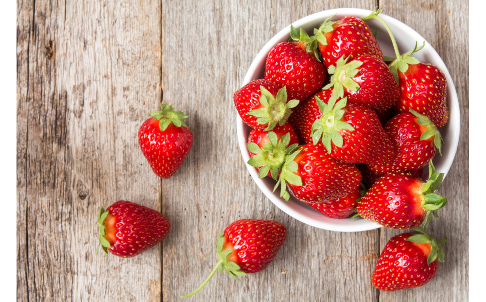 こだわり栽培 いちご はるひ約1kg（約250g×4パック）【2026年1月下旬～2026年4月末までお届け】