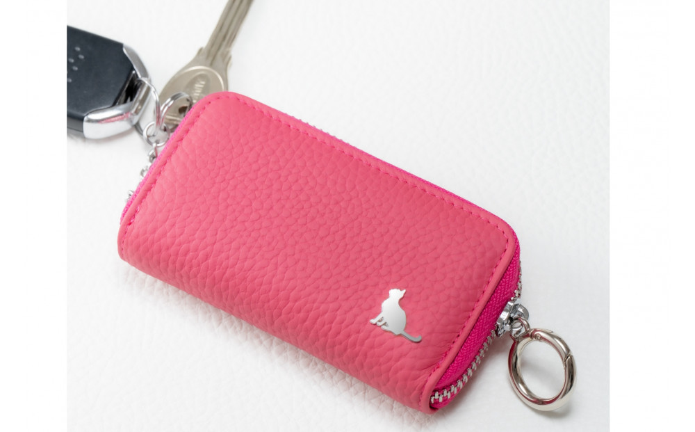 ãã¹ããŒãããŒå¯Ÿå¿ ã«ãŒããå
¥ãæ¬é©6é£ããŒã±ãŒã¹ãïŒæ¿ããã³ã¯ïŒ ããããã坿ããã³ã³ãã¯ããã¹ãªã ãç«ãã¬ã¶ãŒ